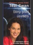 Stíny před úsvitem. Z nejhlubších temnot až ke světlu lásky k sobě - náhled