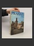 Praha. Прага. Prag. Prague - náhled