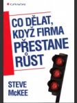 Co dělat, když firma přestane růst - náhled