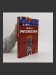 Moderní psychologie. Hlavní oblasti současného studia lidské psychiky - náhled