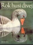 Rok husi divej - náhled
