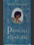 Pavučina z hodvábu - náhled