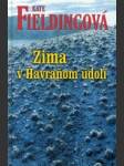 Zima v Havraňom údolí - náhled