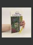 Skalky a suché zídky - náhled