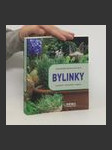 Bylinky. Nejznámější bylinky od A do Z. Kuchyně, kosmetika, zdraví - náhled