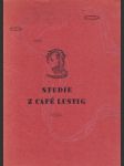 Studie z Café Lustig - náhled