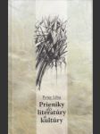 Prieniky do litaratúry a kultúry - náhled