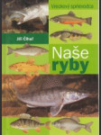 Naše ryby. Vreckový sprievodca - náhled