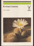 Kvetoucí kameny - náhled