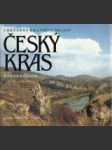 Chráněná krajinná oblast Český kras - náhled
