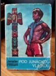 Pod junáckou vlajkou - náhled