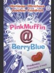PinkMuffin@BerryBlue. Předmět: Zatoulaný e-mail - náhled
