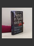 Nieten in Nadelstreifen - náhled