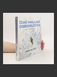 České himálajské dobrodružství II : zápisky Marouška blázna - náhled