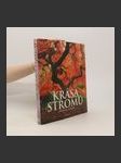 Krása stromů - náhled