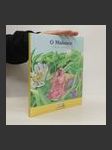 O Malence : příběh o laskavosti - náhled