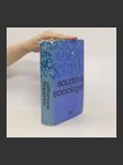 Soudobá sociologie I. - náhled