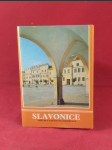 Slavonice, městská památková rezervace - náhled
