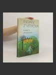 Indiáni z Větrova - náhled
