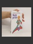 Malý princ - náhled