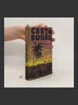 Cesta bouře - náhled