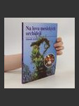 Na lovu mexických orchidejí - náhled
