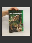 Der grüne Leguan im Terrarium - náhled