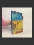 Vincent van Gogh II. díl - náhled