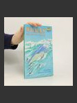 Whales: The Gentle Giants - náhled