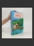 Ilustrovaná bible Příběhy Starého a Nového zákona - náhled
