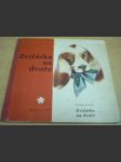 Zvířátka na dvoře - náhled