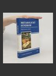 Metabolický syndrom - náhled