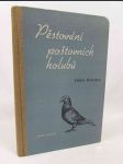 Pěstování poštovních holubů - náhled