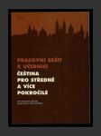 Pracovní sešit k učebnici Čeština pro středně a více pokročilé - náhled
