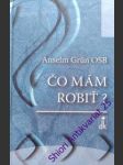ČO MÁM ROBIŤ ? Odpovede na otázky, ktoré kladie život - GRÜN Anselm - náhled