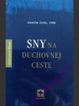 Sny na duchovnej ceste - grün anselm - náhled
