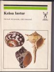 Krása lastur - náhled