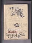 Domácí úkoly z pilnosti - náhled