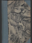 Kráľevič Jedináček - náhled