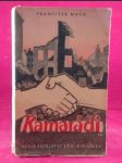Kamarádi - náhled