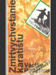Zmŕtvychvstanie karatistu - náhled