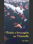 Rehole a kongregácie na slovensku - babjak ján sj - náhled