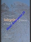 Labyrint - hlavou o múr - litecký - šveda ján - náhled