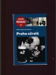 Praha ožralá - náhled