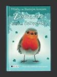 Zasněžená červenka - náhled