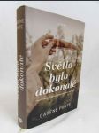 Světlo bylo dokonalé: Staré negativy odkryjí dávno pohřbené tajemství - náhled