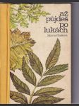 Až půjdeš po lukách - náhled