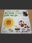 Krtek hádá, jak to je - náhled