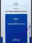 Adam a kabalistický strom - z´ev ben shimon halevi - náhled