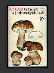 Atlas tržních a jedovatých hub - náhled